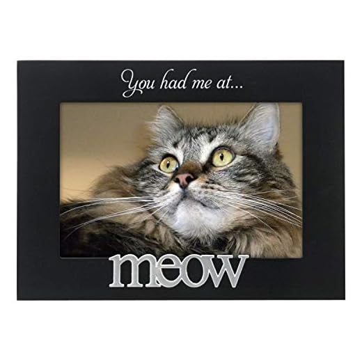 Malden International Designs 4964-46 Expressions You Had Me at Meow Black Wood Picture Frame, 4x6, Black