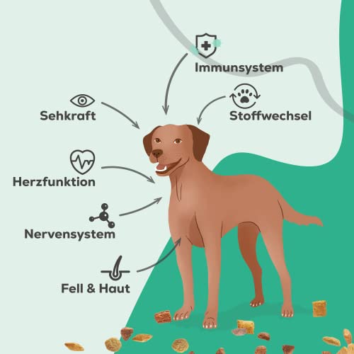 Vicupets® Complesso di vitamina B per cani | 8