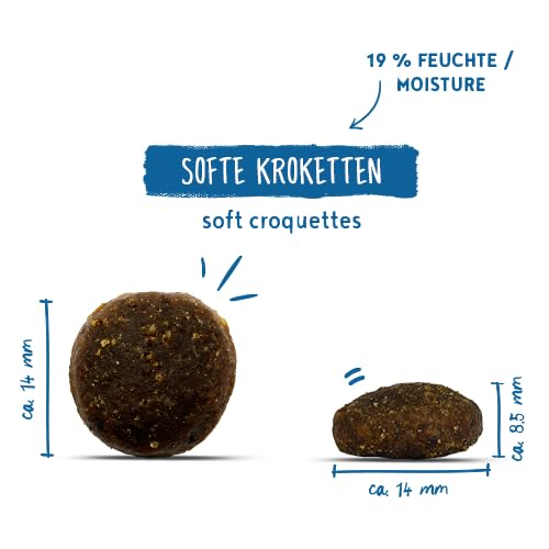 bosch HPC SOFT Junior Hühnchen & Süßkartoffel | halbfeuchtes Hundefutter für wachsende Hunde aller Rassen | Single Protein | grain-free | 1 x 2.5 kg