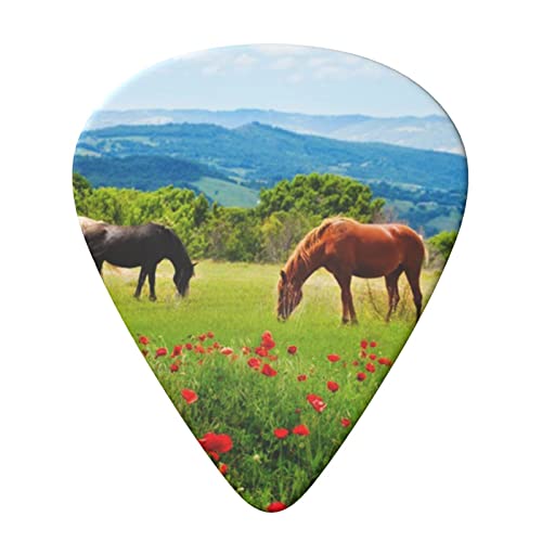 Lot de 6 médiators imprimés de différents types de chevaux pour guitare acoustique et électrique - Les Beatles, Paul McCartney, John Lennon, RIngo Starr, George Harrison Lot de 6 médiators imprimés de différents types de chevaux pour guitare acoustique et électrique – Image 4