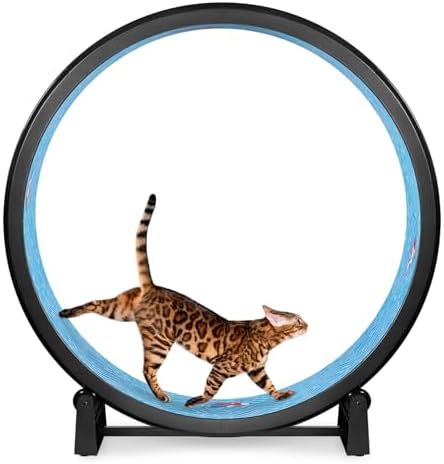 One Fast Cat – Cat Exercise Wheel – Gen. 7 – Safe 48″ Diameter – Made in The USA – Black Wheel with Koi Pond Foam Traction Pads and Solid Black Inline Wheels