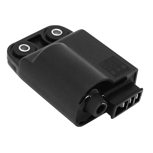 cyclingcolors Zündspule motorrad moped roller mofa kompatibel mit piaggio zip typhoon nrg gilera stalker runner