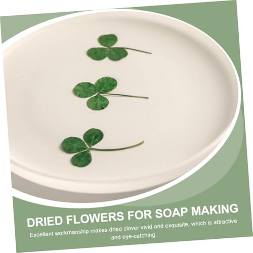Hojas de trébol prensadas secas verdes para manualidades miniatura 5