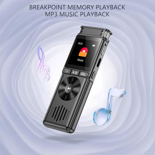 Dictaphone de conférence Denoise idéal pour vos grands cours d'amphi