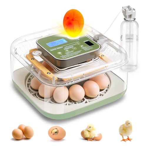 Incubator for Hatching Eggs Automatic Humidity and Temperature Control 12 Eggs Incubator, Digital Display Auto Turner 360° View Egg Candler for Chicken, Duck and Quail Bird Eggs