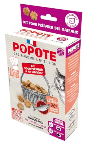 POPOTE – Friandises pour Chat – Recette au Saumon – Riche en Protéines Animale – Haute Digestibilité – Fabrication Française – A Cuisiner à la...