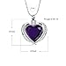 Imrsanl Cremation Jewelry for Ashes Pendant - Crystal Heart Urn Necklace with Mini Keepsake Urn Memorial Ash Jewelry (Customize)