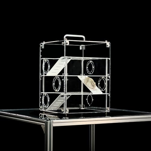 GuineaLoft ^ANP[W (f-P5) ? nX^[AbgA}EXAXilY~A^ޗp̊Kiƃ`[uRlN^4K̃vC\ ? GuineaLoftXgAŏڍׂ