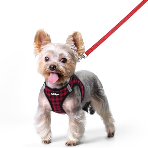 Image of rabbitgoo Dog Harness Small Sized and Leash Set, Step-in Puppy Pet Vest