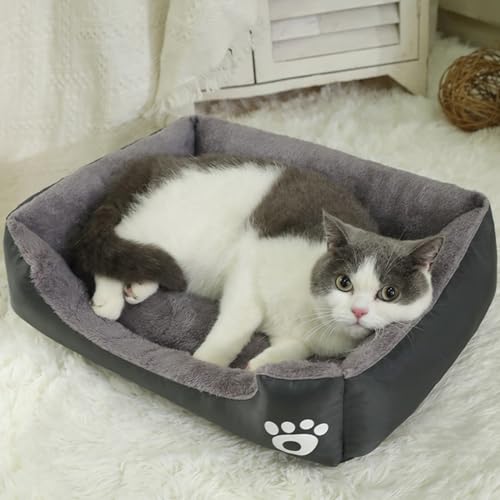 [ADSNS] ybgxbh 􂦂   ӂӂ   xbg xbh \t@[ J[1 L  lR ˂ Ck ^  ybgpi gӂӂȃybgxbg ybgNbV ~