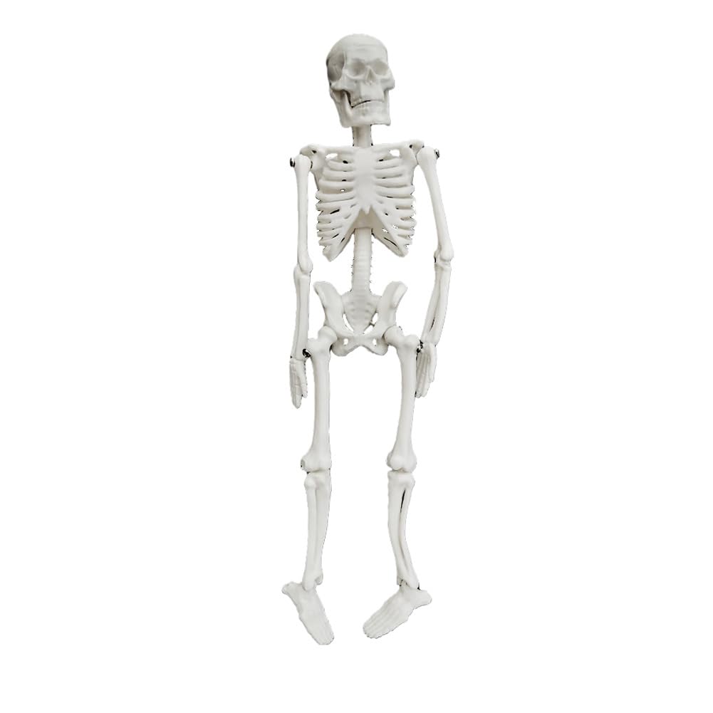 Kgadrx Onecolor Aquarium Human Skeleton Resin Ornaments Fish Tank Skull Skeleton Resin Ornament Reptile Tank Fish Tank Aquarium Sculpture Home Decoration