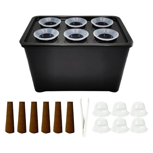 cpgC - pɐBJo[   | |HgC |     ItBX oR j[ Ő 뉀 