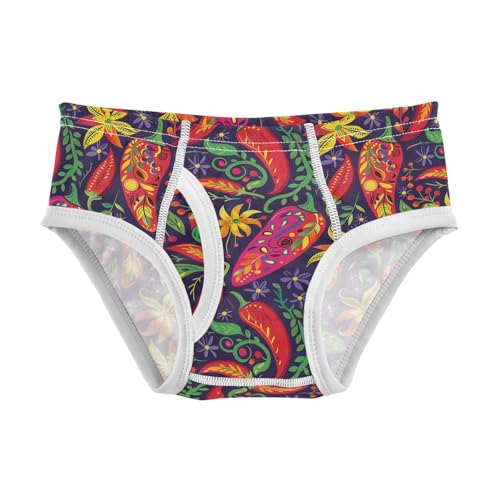 visesunny Boys Potty Training Underwear Tribal Flower Chili Pattern Breathe Cotton Briefs Size 2T-8Y for Toddler - Main Image