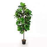 LACKINGONE 6ft Fiddle Leaf Fig Tree, Artificial Plant for Home Decor Indoor, Trendy Fake Tree Indoor...