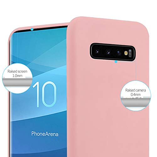 Cadorabo Custodia per Samsung Galaxy S10 Plus in