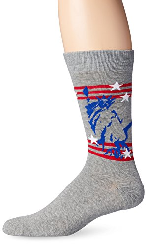 K. Bell Socks Men's Liberty Crew Sock, Gray Heather, 10-13/Shoe Size 6-12