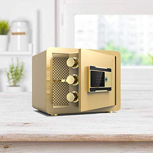 XBTGS Gabinete de llaves doble resistente al fuego e impermeable para documentos de identificación, documentos A4, ordenadores portátiles, joyas, 35, 25 y 25 cm, negro, A, dorado, A