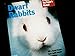 Dwarf Rabbits: A Complete Pet Owner's Manual (Barron's Complete Pet Owner's Manuals)