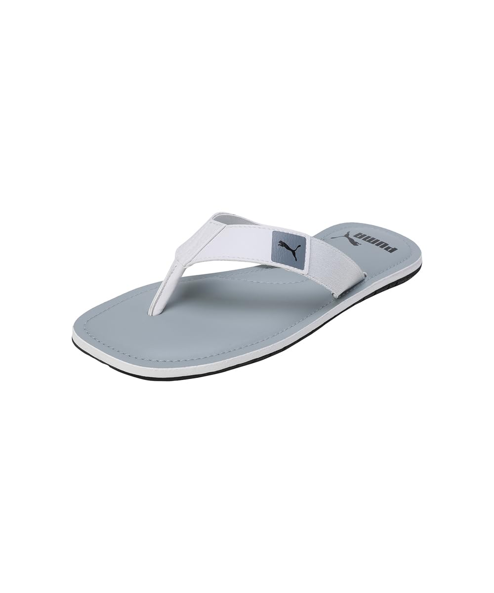 Puma mens Capster V3 Cool Mid Gray-Feather Gray-Black Flip-Flop - 6 UK (38794605) (B0CKYPXYGL) Amazon Price History, Amazon Price Tracker