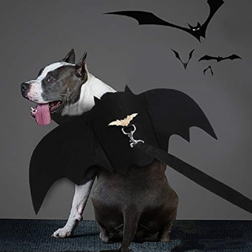 Haustier Fledermausflügel,Hund Fledermaus Kostüme mit 2Pcs Pumpkin Bell,Katze Fledermaus Kostüm,Halloween Katze Kleidung,Halloween Haustier Kostüm,Haustiere Cosplay-Kostüm(Schwarz)