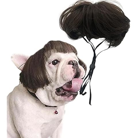 PAPIEEED Pet Dog Costume, Adjustable Dog Wig Dress up for Party Dog Hair Accessories Cute Pageboy-hairstyle Costume for Party Cover