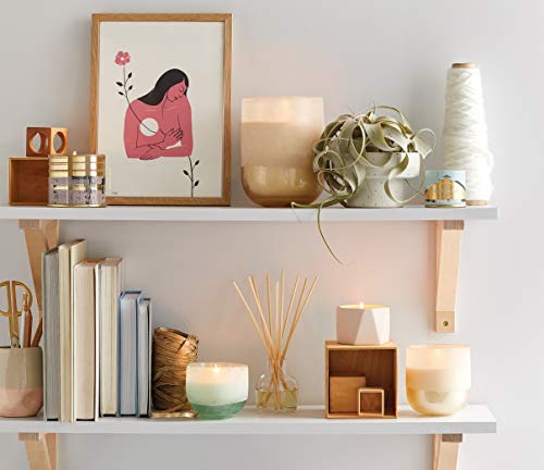 Illume Fresh Sea Salt Mojave Glass Candle, Small #TOP1