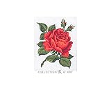 Photo Gallery collection dart 3146 canovaccio design 14 x 18 cm, rose, colore: bianco, taglia: unica Photo Gallery collection dart 3146 canovaccio design 14 x 18 cm, rose, colore: bianco, taglia: unica