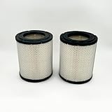 2x Air Filter for ISUZU NRR NPR NPR-HD NQR 4JJ1 3.0L 4HK1 5.2L 6.0L 05-25