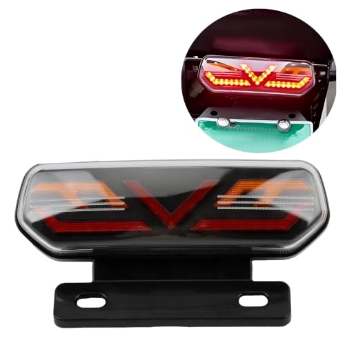 Luz Trasera Universal Moto 12V con intermitentes LED integrados 2