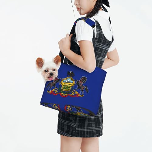 Sac de transport pour petit chien et chat édition drapeau Pennsylvanie