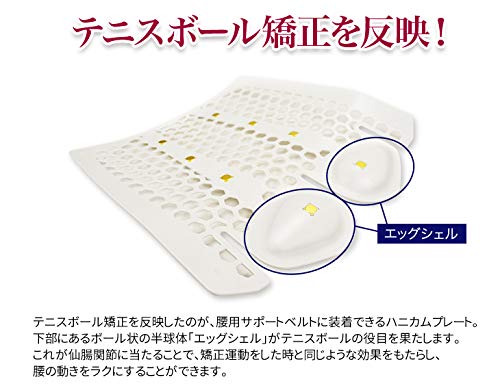 Amazon | 酒井慎太郎監修 腰用サポートベルト 腰痛ベルト コルセット