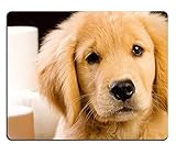 Vollfarbdruck, kein Klebstoff oder schädliche Chemikalien, lebendige, dauerhafte Farben, die nicht verblassen.