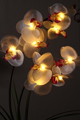Homeseasons Pre-Lit Artificial Orchid Arrangement, Led Orchid Plant With 9 Lights (White, No Timer Function) #TOP5