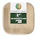 Charity Leaf Disposable Palm Leaf 6" Square Plates (200 pieces) Bamboo Like Serving Platters, Disposable Boards, Eco-Friendly Dinnerware For Weddings, Catering, Events 1
