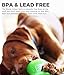 Bionic by Outward Hound Tough Dog Bone, Durable Chew Toy for Dogs, Large, Green