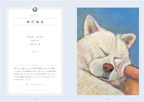 Amazon.co.jp: はせくら みゆき: 本、バイオグラフィー、最新アップデート