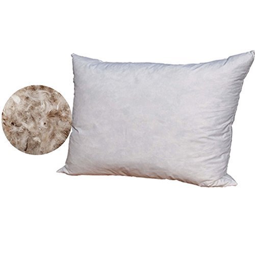 Feather/Down Pillow Form White 12