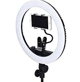 Muy fácil de usar Luz de vídeo LED compacta Lite para Canon VIXIA XH-A1, A1S, G1, XL-1S, XL1, XL2, XL-H1, GL2, GL1, XM2, XM1, FS300, FS200, FS100, FS10, FS22, FS11, FS21, DC20, DC50, DC40, DC22