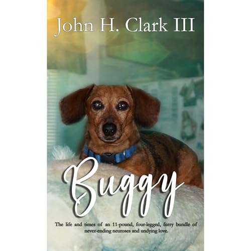 Buggy by John H. Clark III episode artwork