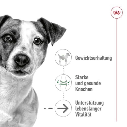ROYAL CANIN MINI AGEING 12+ Trockennahrung für Hunde – 0.8 kg – Ansicht 2