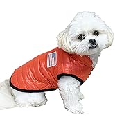 Amazon | 小型犬用 犬 犬服 冬服 USA ジャケット フード無し オレンジ