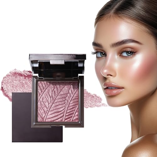 1 Stück Poudre Illuminateur Argentée, Correcteur Scintillant et Poudre Contour, Éclat Longue Durée pour Joues, Yeux et Nez, Parfait pour Looks Lumineux (01#)