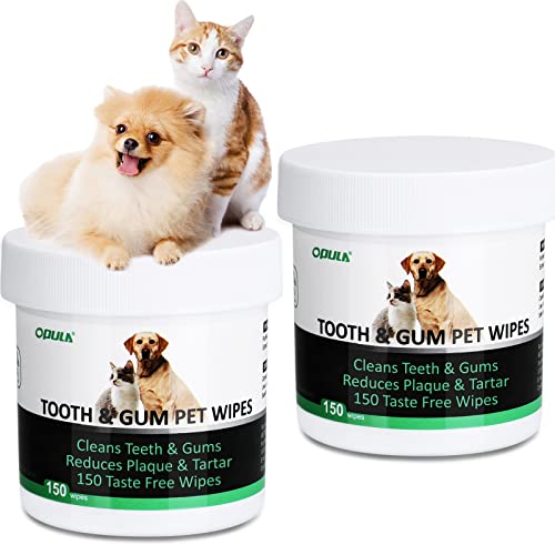 The Best Dental Wipes On The Market