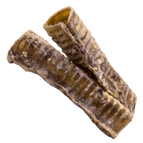 Image of NATURE'S LOGIC Beef Trachea Dog Chew Treat - 100% USDA Prime Beef, 1 lb