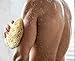 Real Sea Sponge for Men - Extra Large 6