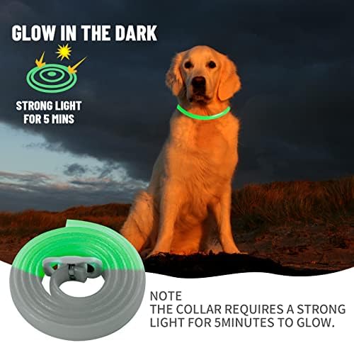 Flea Collar for Dogs, Luminous Safety Glow Dog Flea Collars, Flea Treatment for Dogs, 8 Months Protection Waterproof Adjustable Flea and Tick Collar for for Puppies Small Medium Large Dogs-2 Pcs Grey