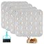 Grey-guinea Pig Print (4pcs)