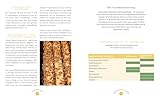 Imkern mit Herz: Das Praxisbuch für Einsteiger zu allen Arbeiten im Jahresverlauf plus Profiwissen zur Königinnenzucht, Honiggewinnung, Vermarktung ... | von Insta-Imkerin @honigmanufaktur.mit.herz