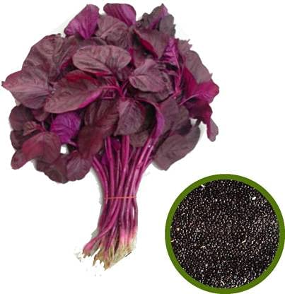 MyOwnGarden Traditional Red Amaranthus Spinach Seeds for kitchen gardening(Pack of 2) (B094X5TBNW) Amazon Price History, Amazon Price Tracker