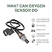 SCITOO Air Fuel Ratio Sensor Oxygen Sensor 234-9005 O2 Front Upstream fit 2001-2005 Honda Civic 2002-2004 Acura RSX 2002-2004 Honda CR-V